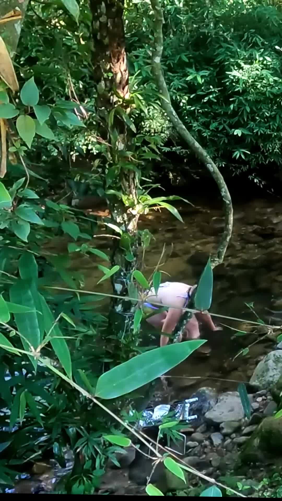 @user44215014158