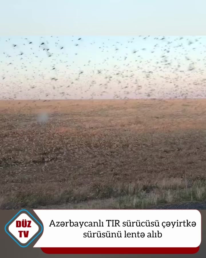 @Duz_tv_news