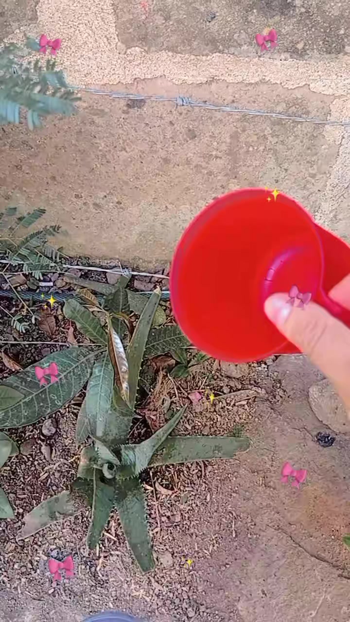 @mari Zeled&oacute;n😈💞