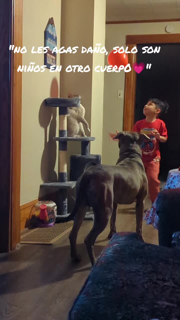 @Jessica🐾💞