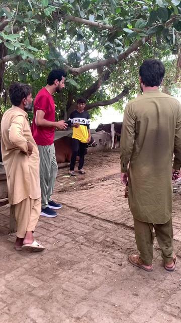 @Adnan Rai 7