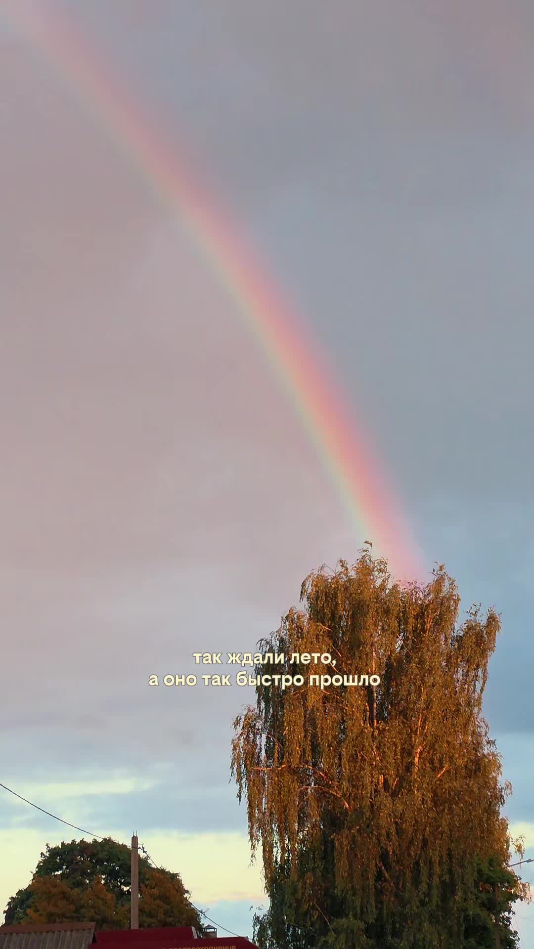 @Lesya Bronzova
