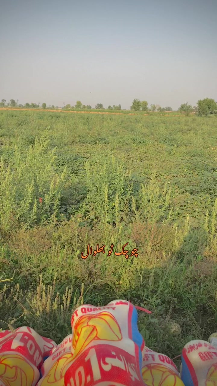 @چوہدری ثمر بھٹی