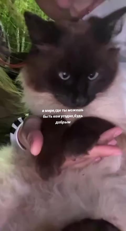 @зайка