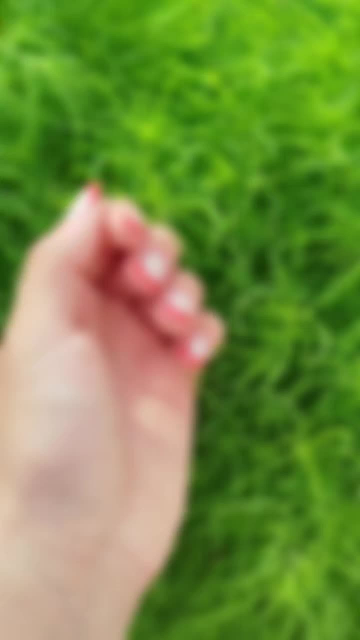 @꧁❧ᎯዙᎯℭŤᎯℭนЯ☙꧂