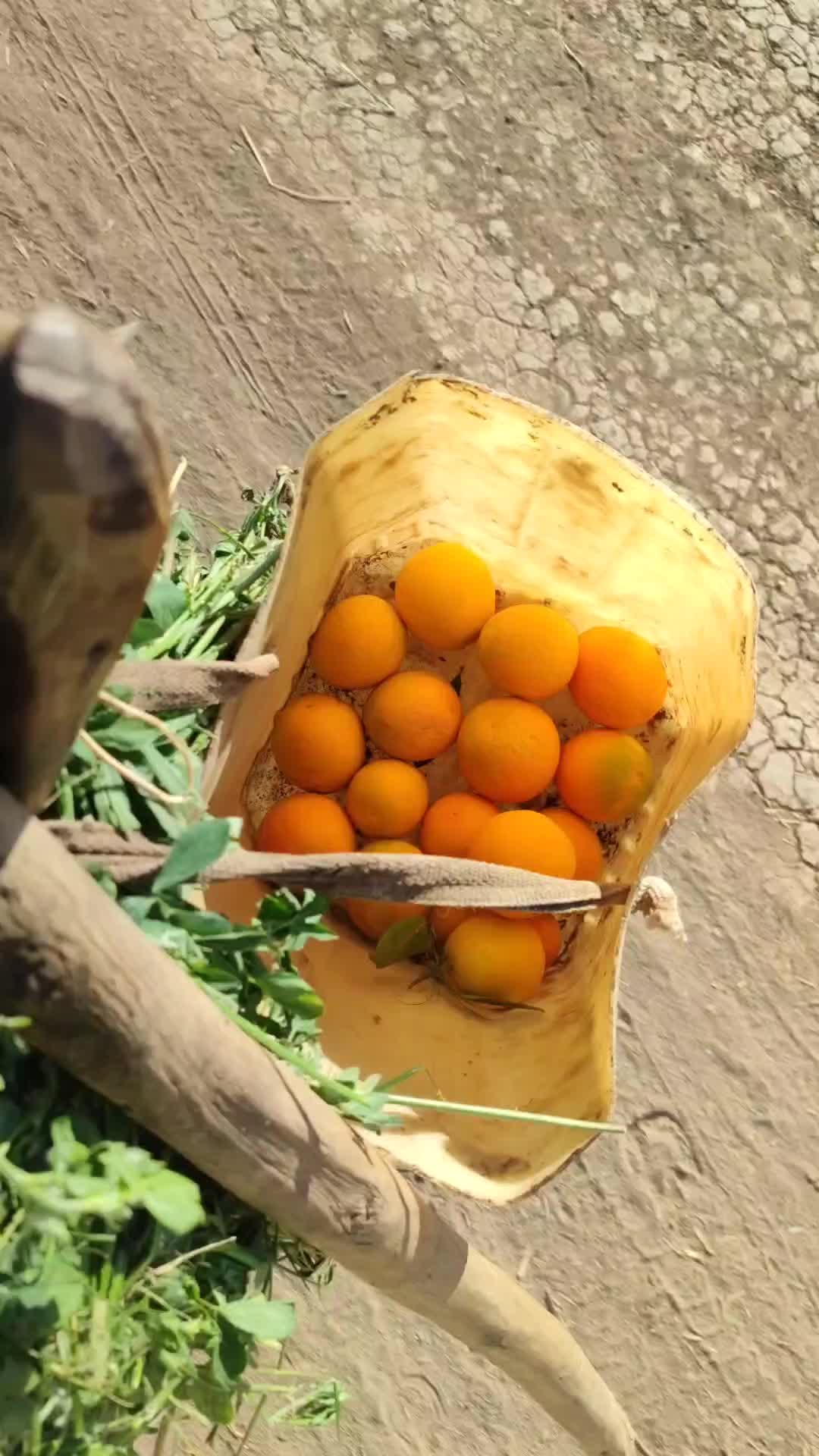 @عــ𓁳𓆃ـبد الــ𓁳𓆃ـرحمن📮