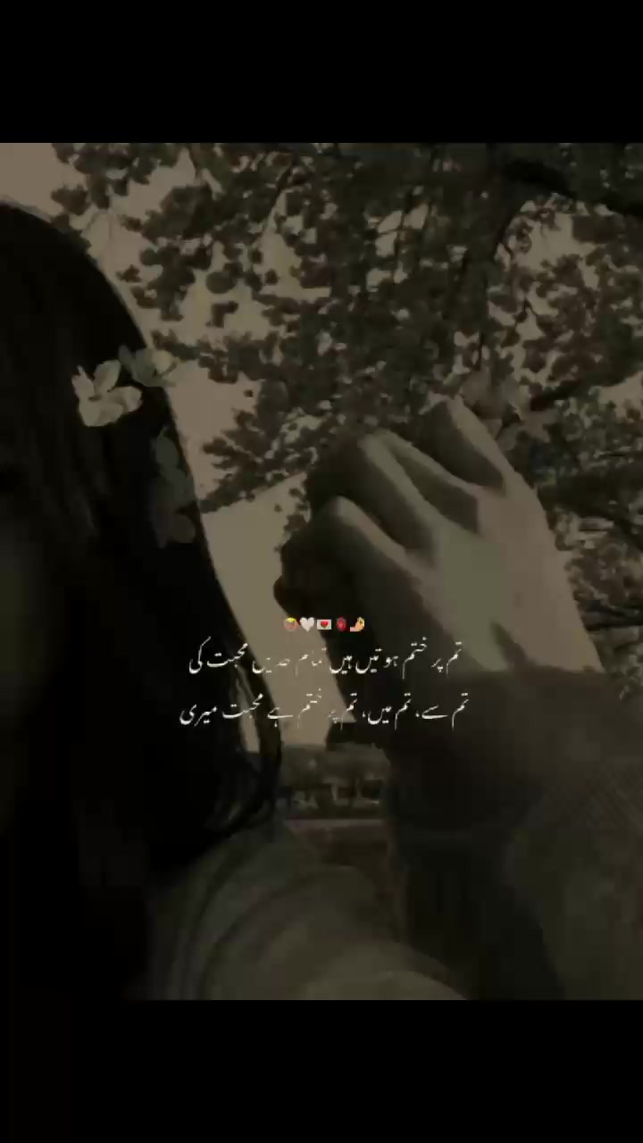 @⋆𐙚˚𝐁𝐄𝐀𝐑᭄🐻
