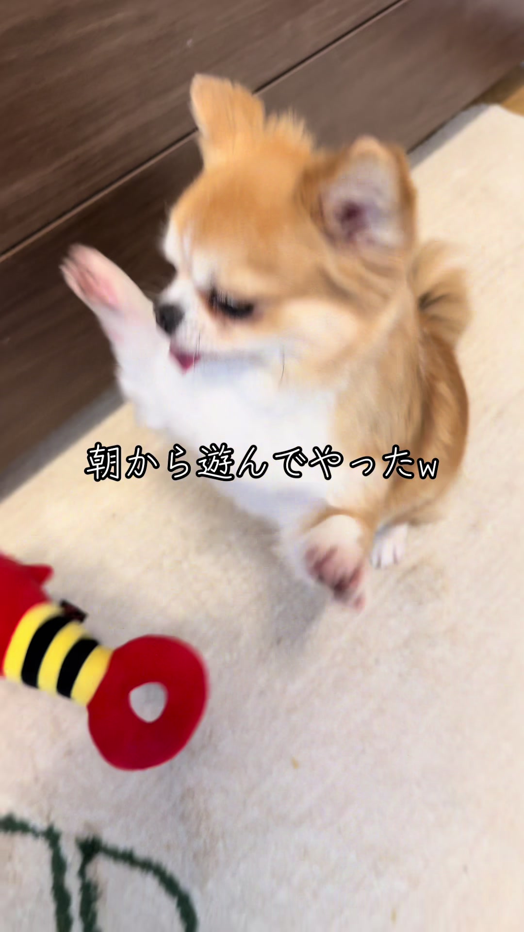 @心太