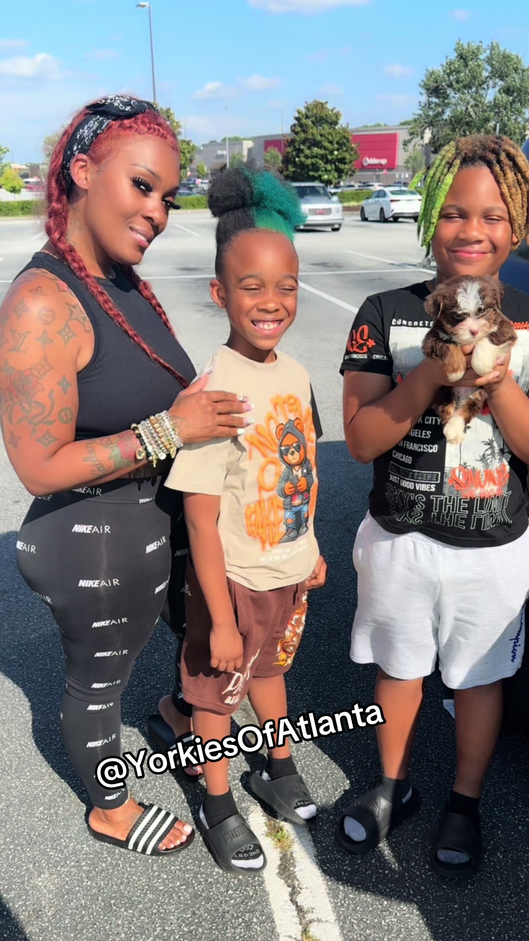 @Yorkies Of Atlanta