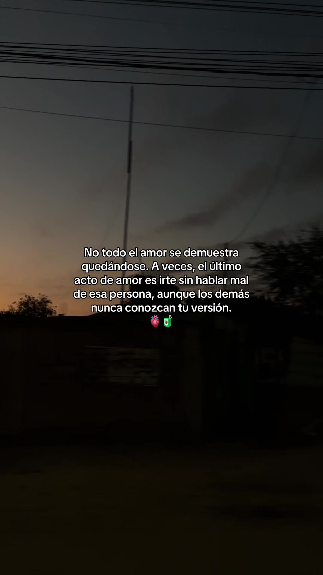 @Gatocix 🐱