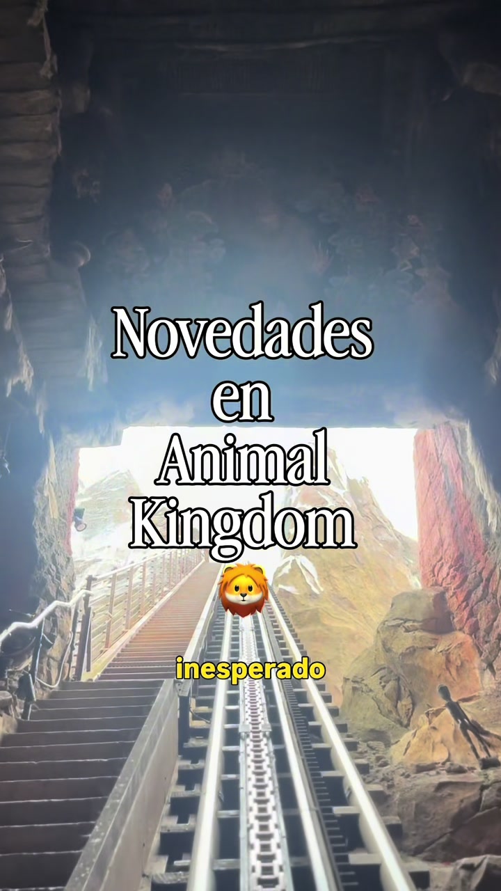 @LAURA RIVAS