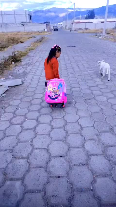 @Liliana Ullcu