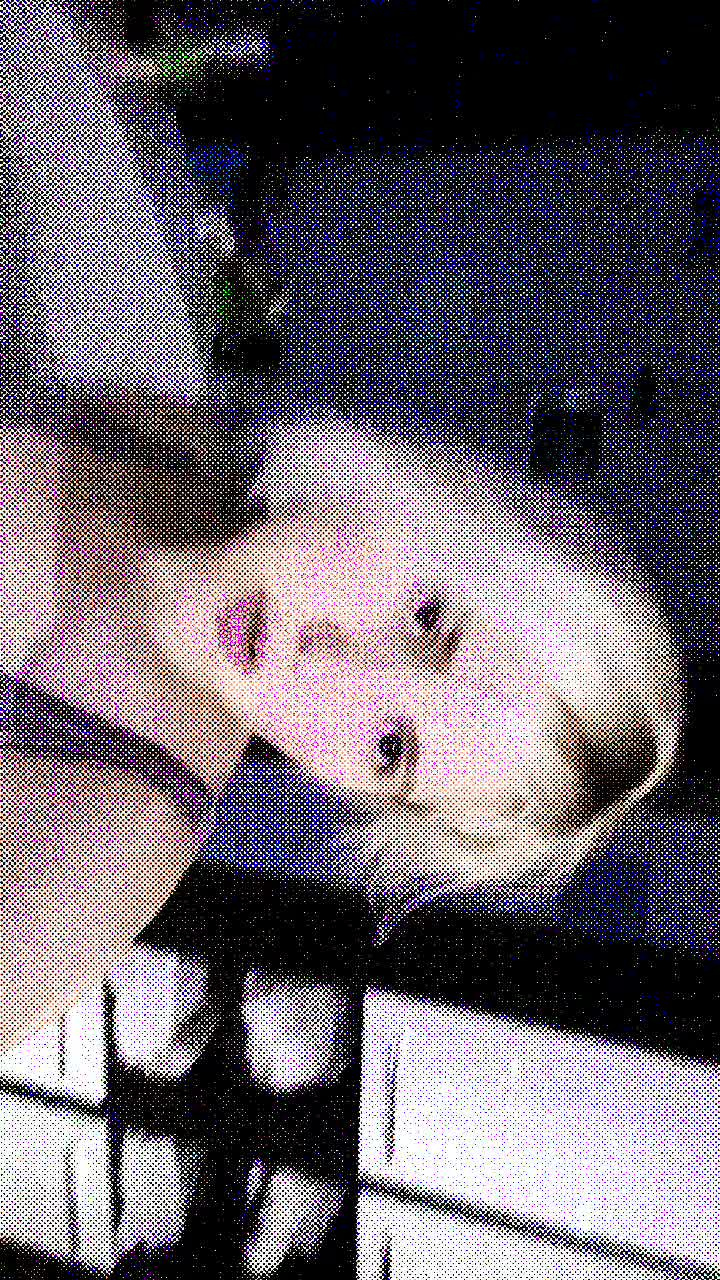 @ricko_shot