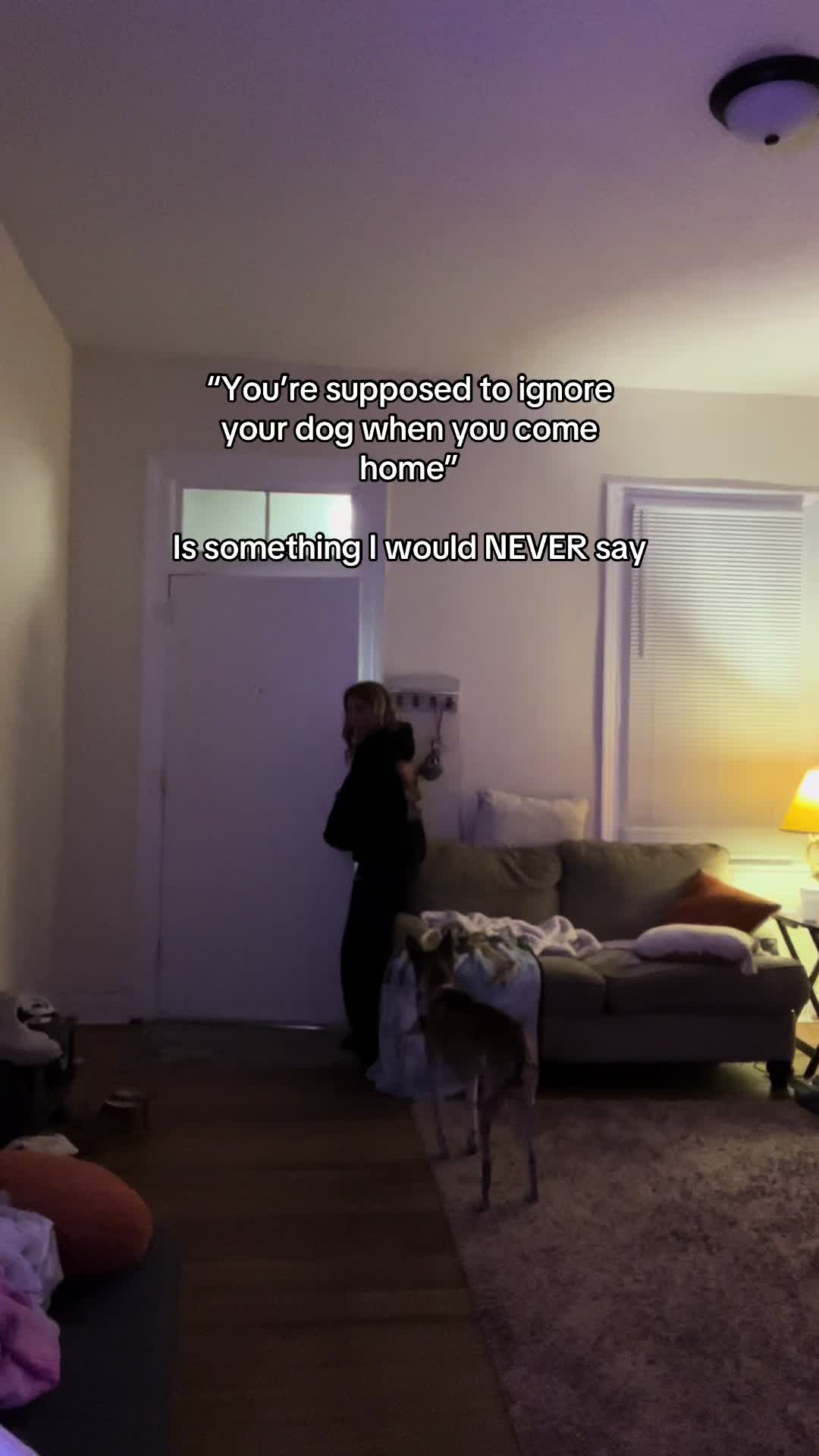 @Bo