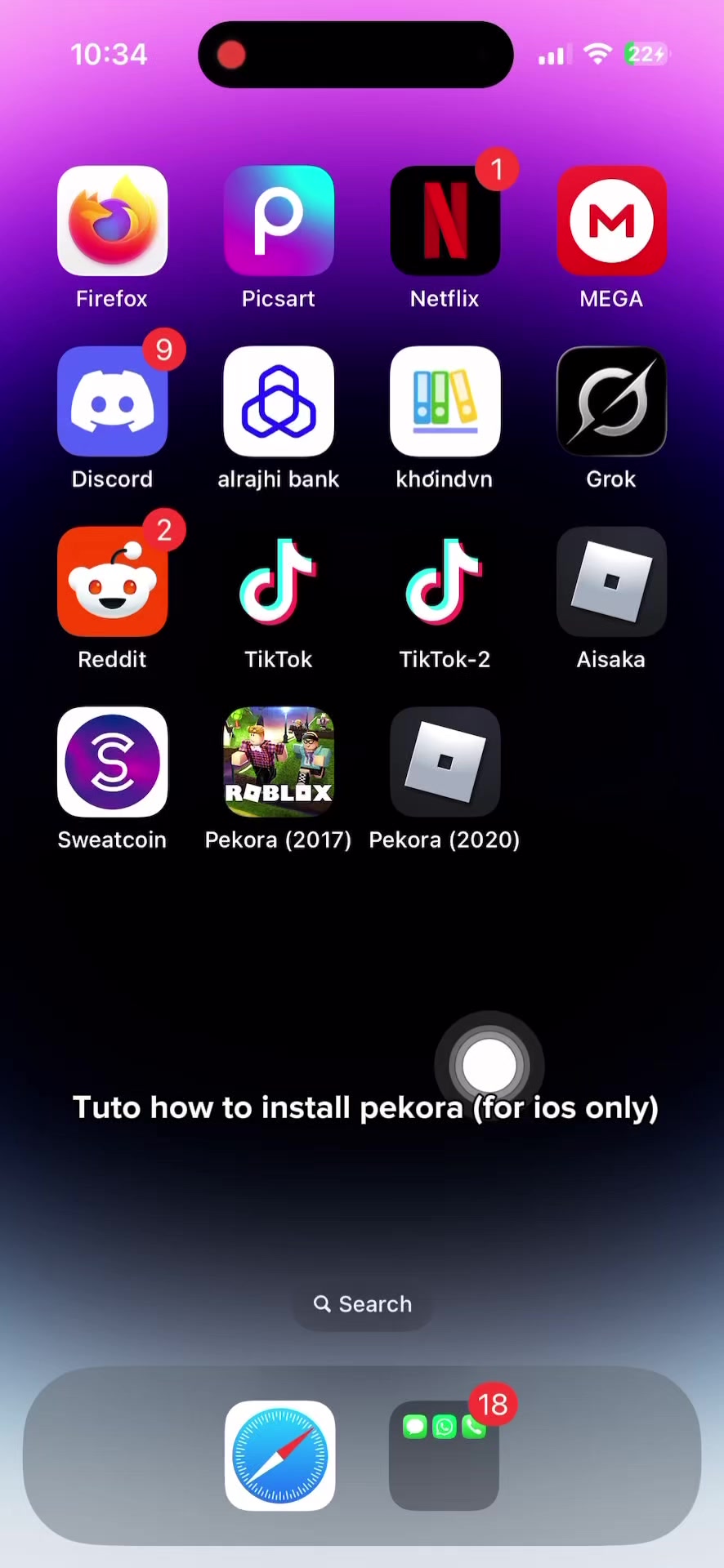 @pekora2020playernostalgic🩷