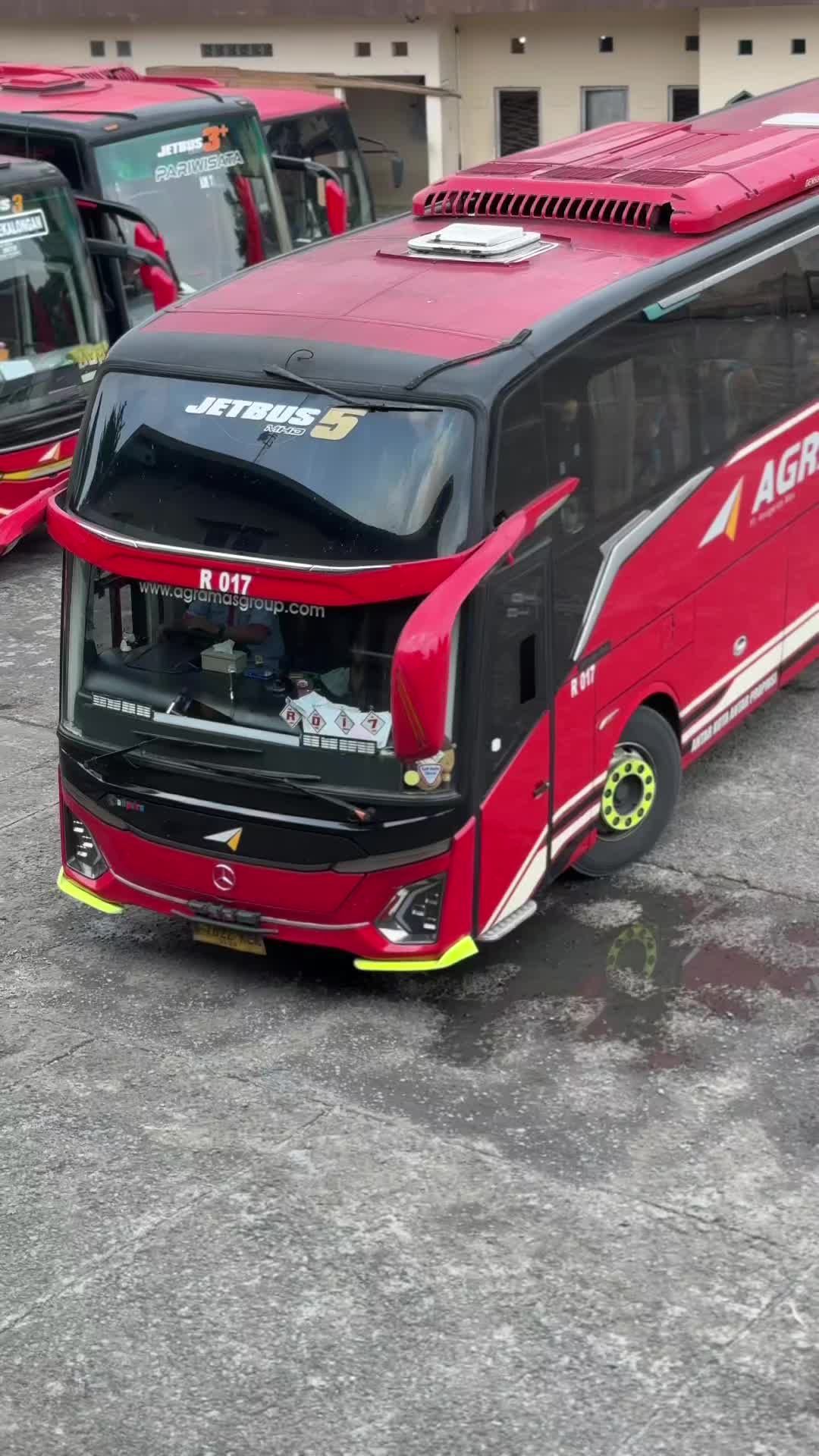 @pembasmi kecoa terbang