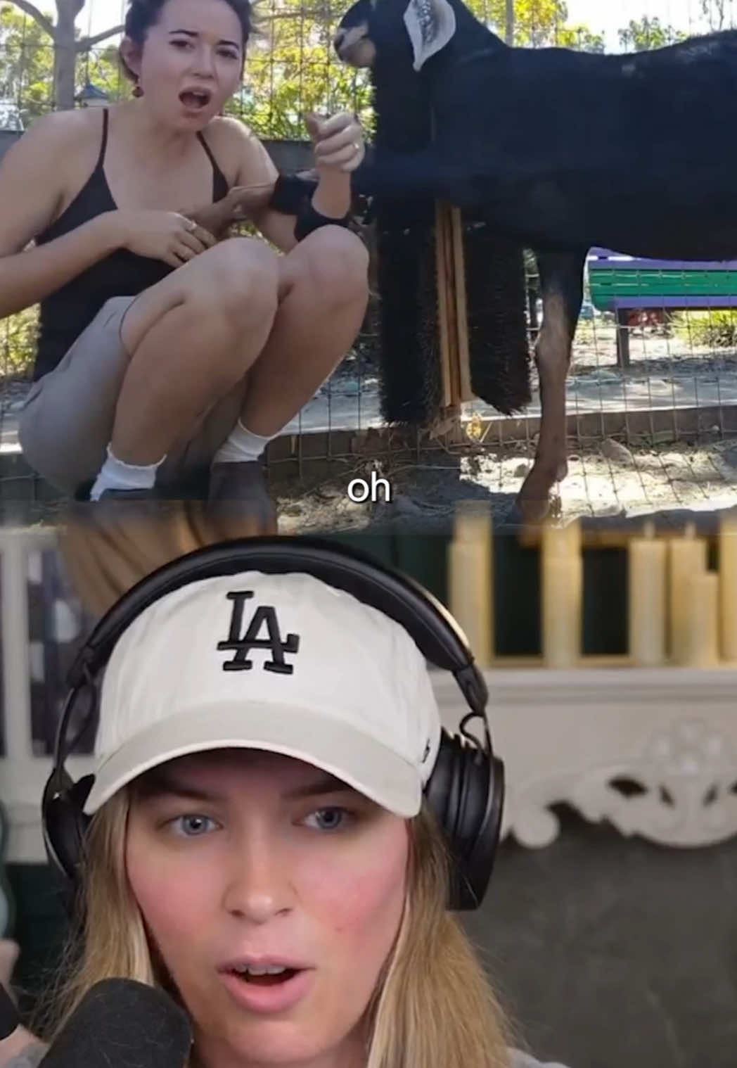 @QTCinderella