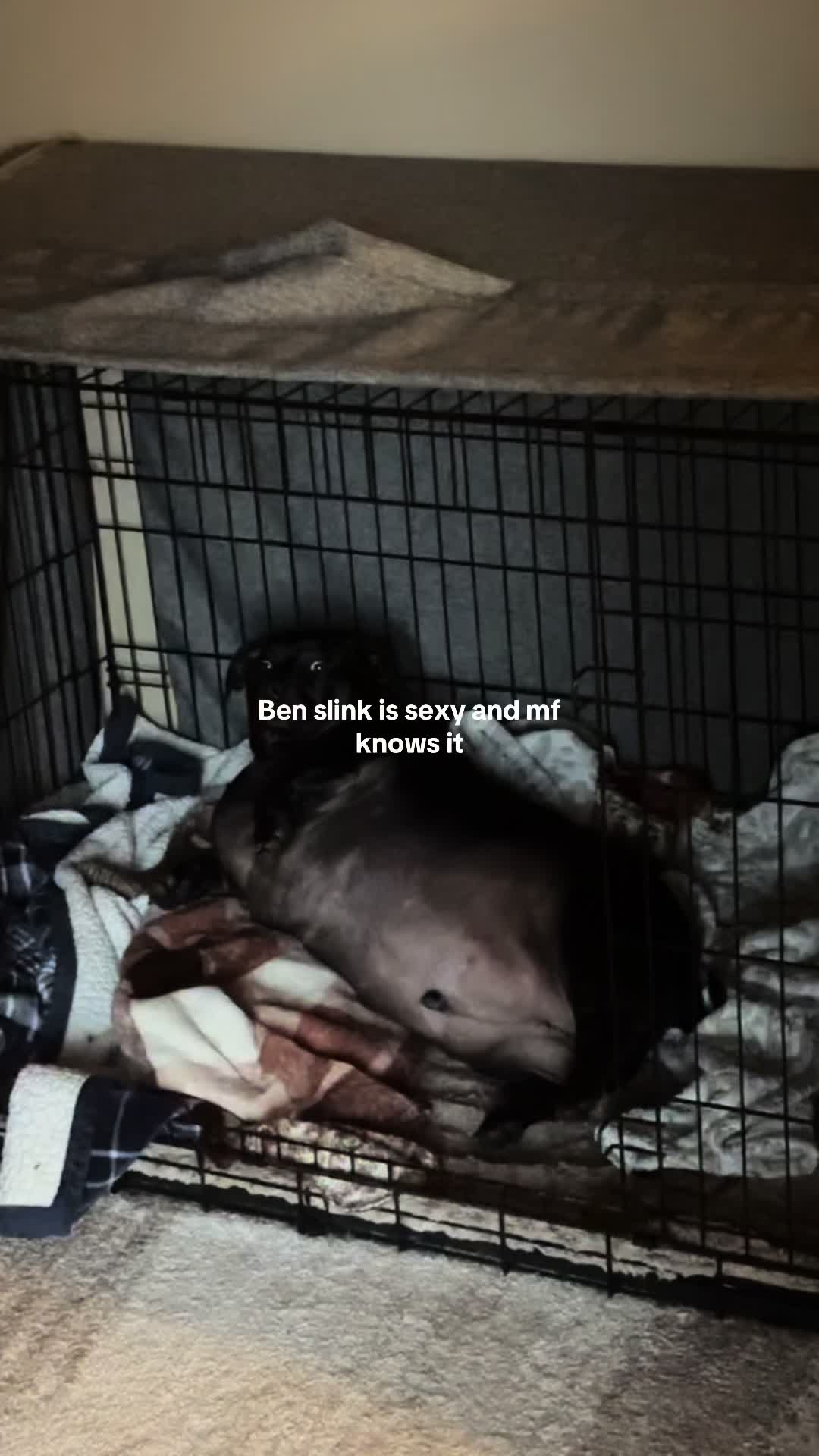 @BenSlinkdawg