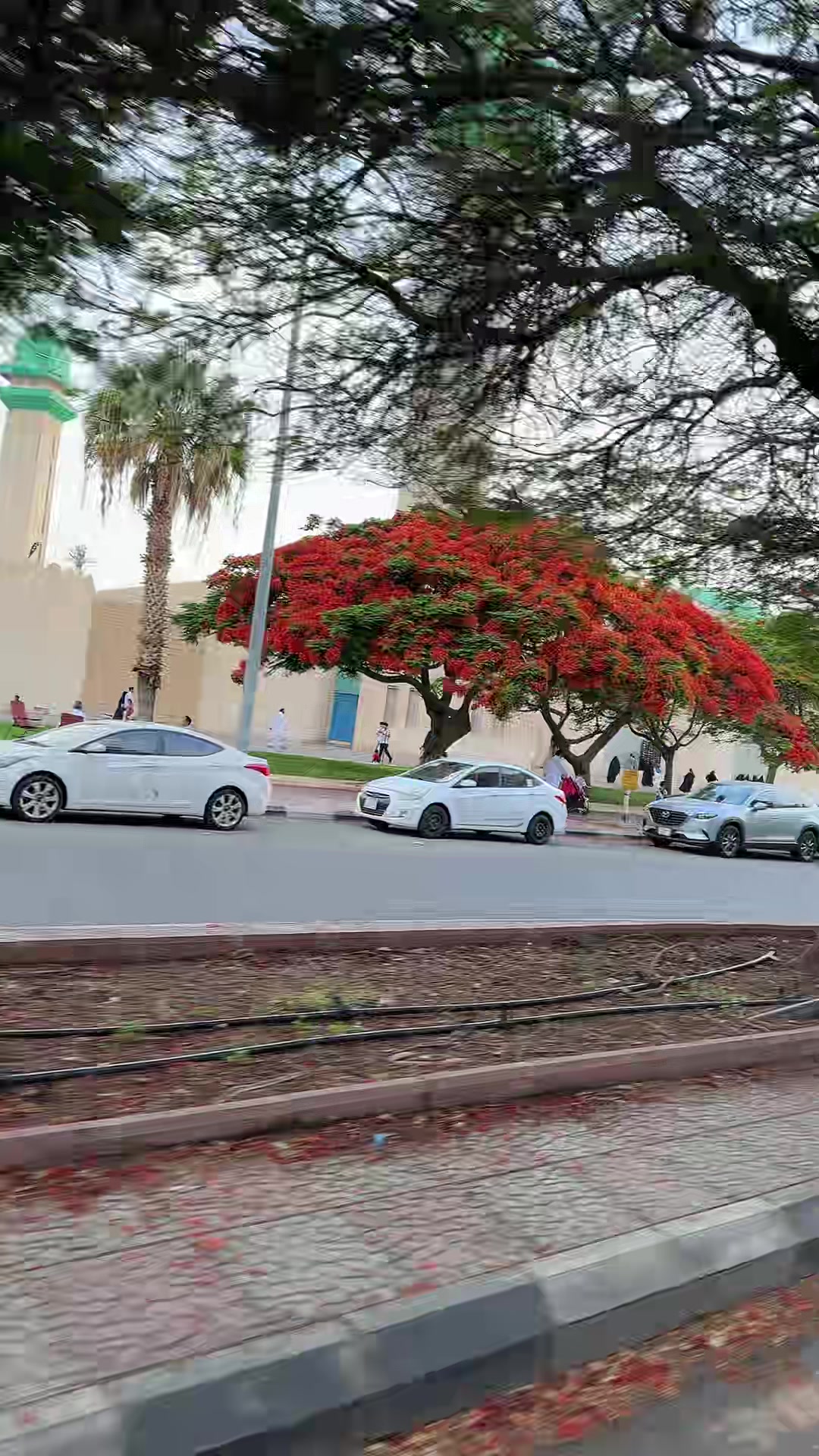 @الزهراني