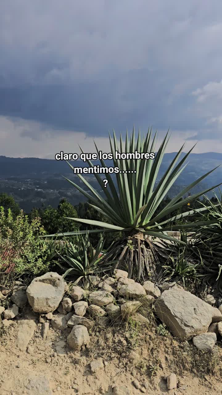 @☘️PÈREZ🇬🇹🎭