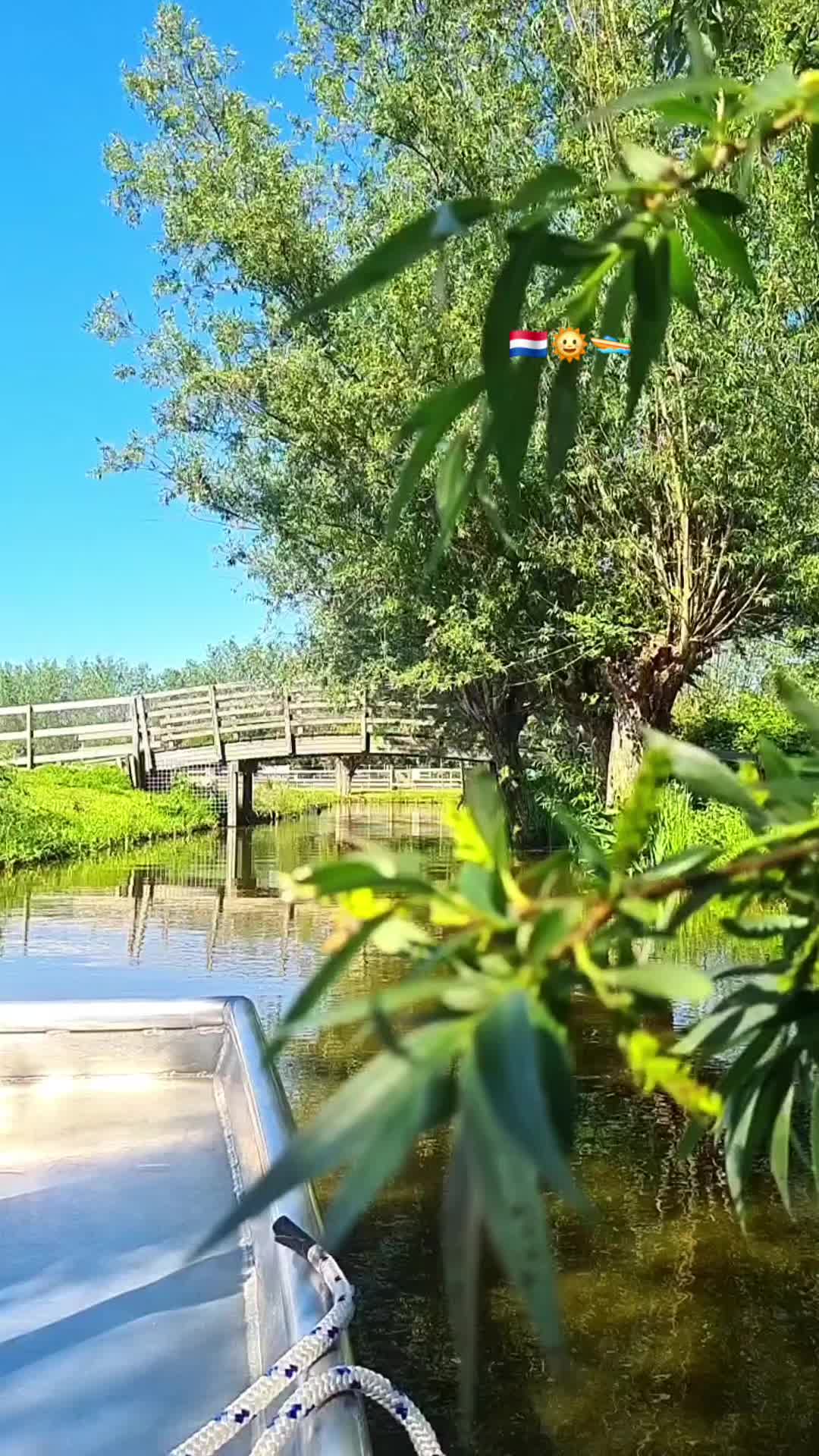 @Sylvana 🇳🇱