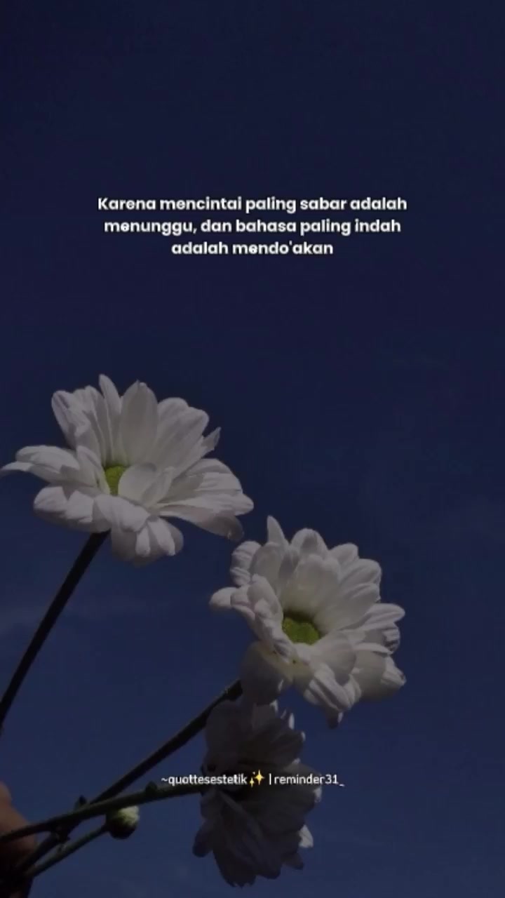 @~quottesestetik✨️| reminder31_