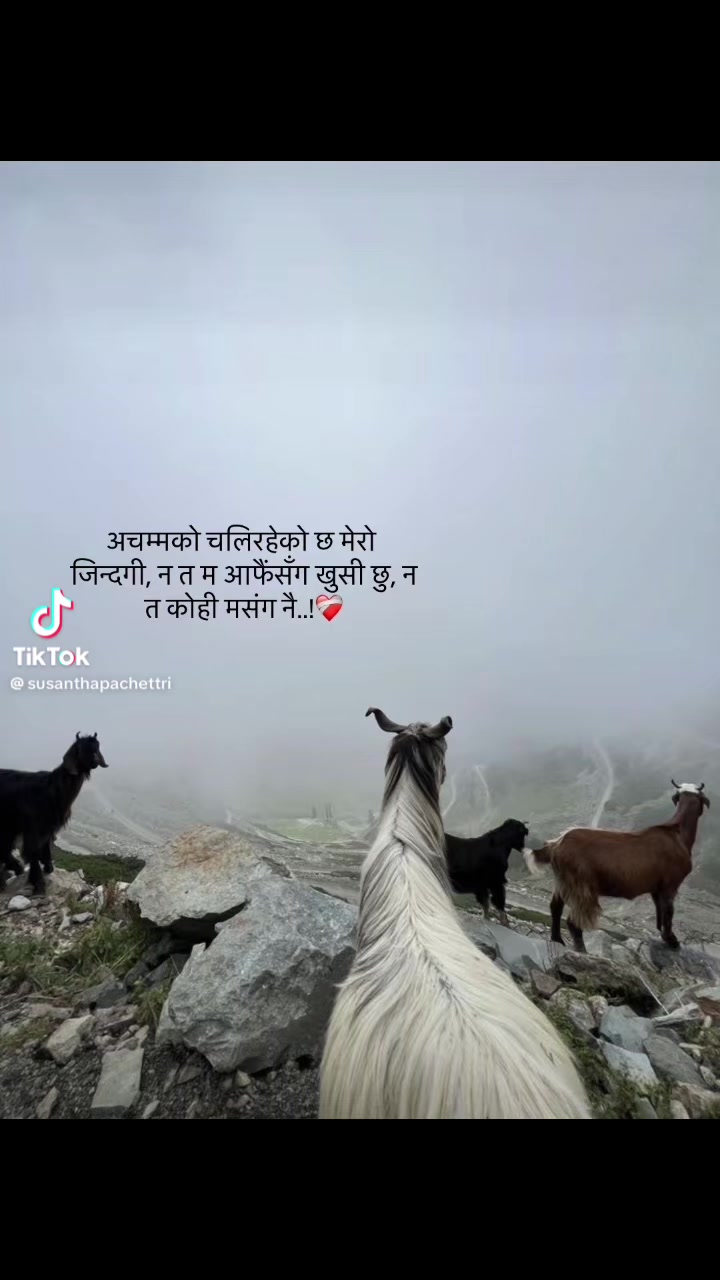 @Maya