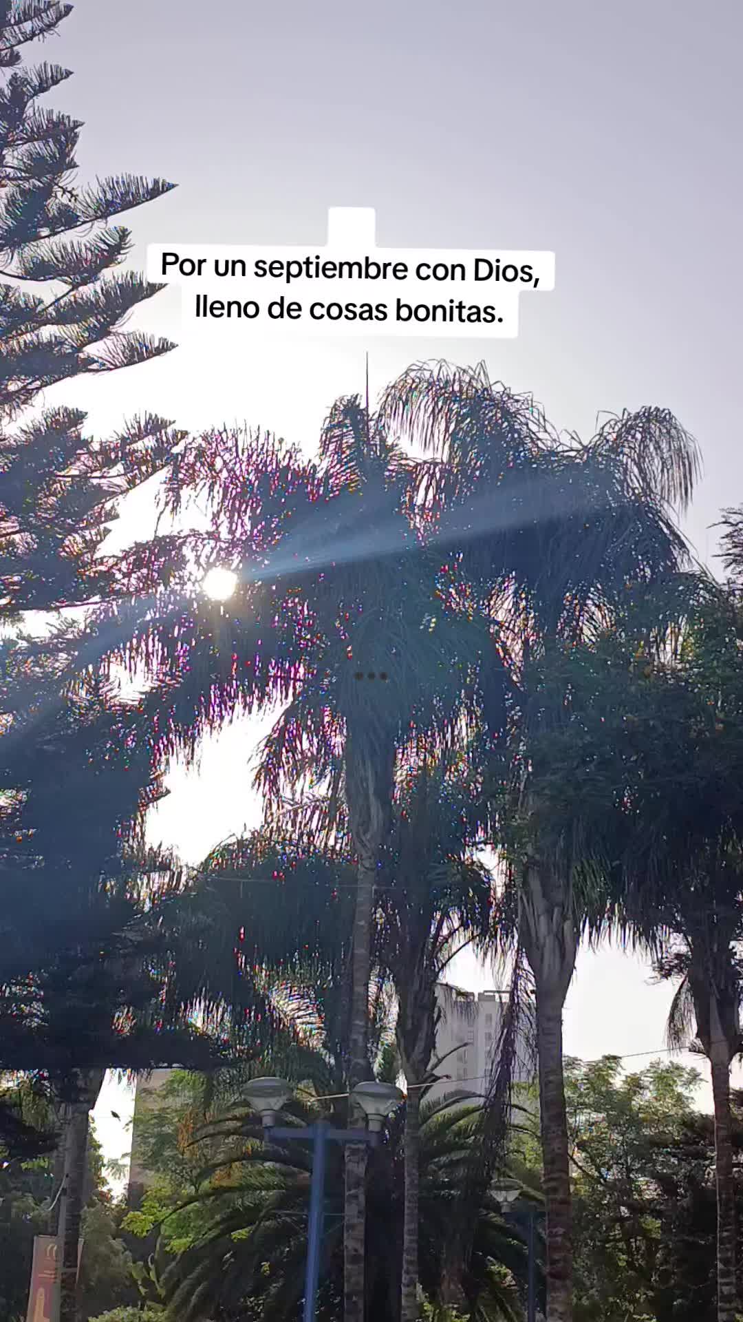 @Lesly Campos Díaz