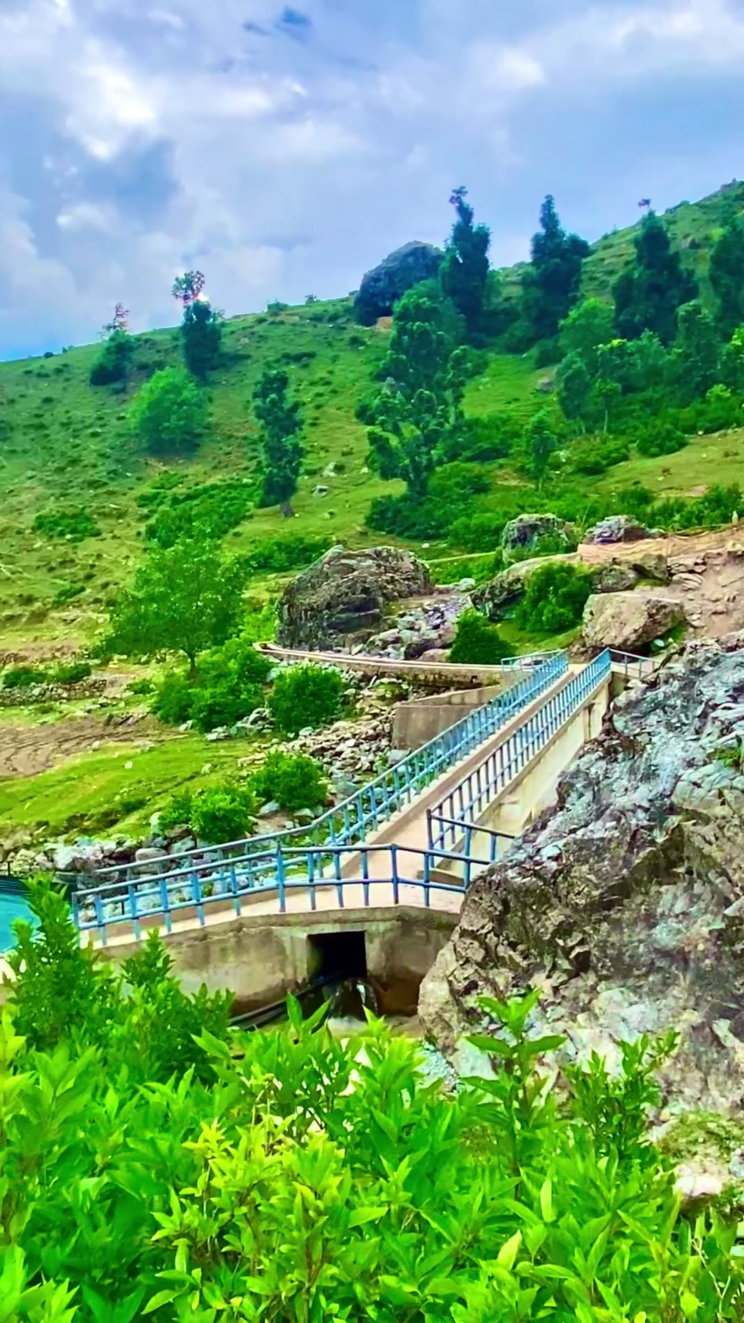 @🌳Aesthetics.Views🌳🌿