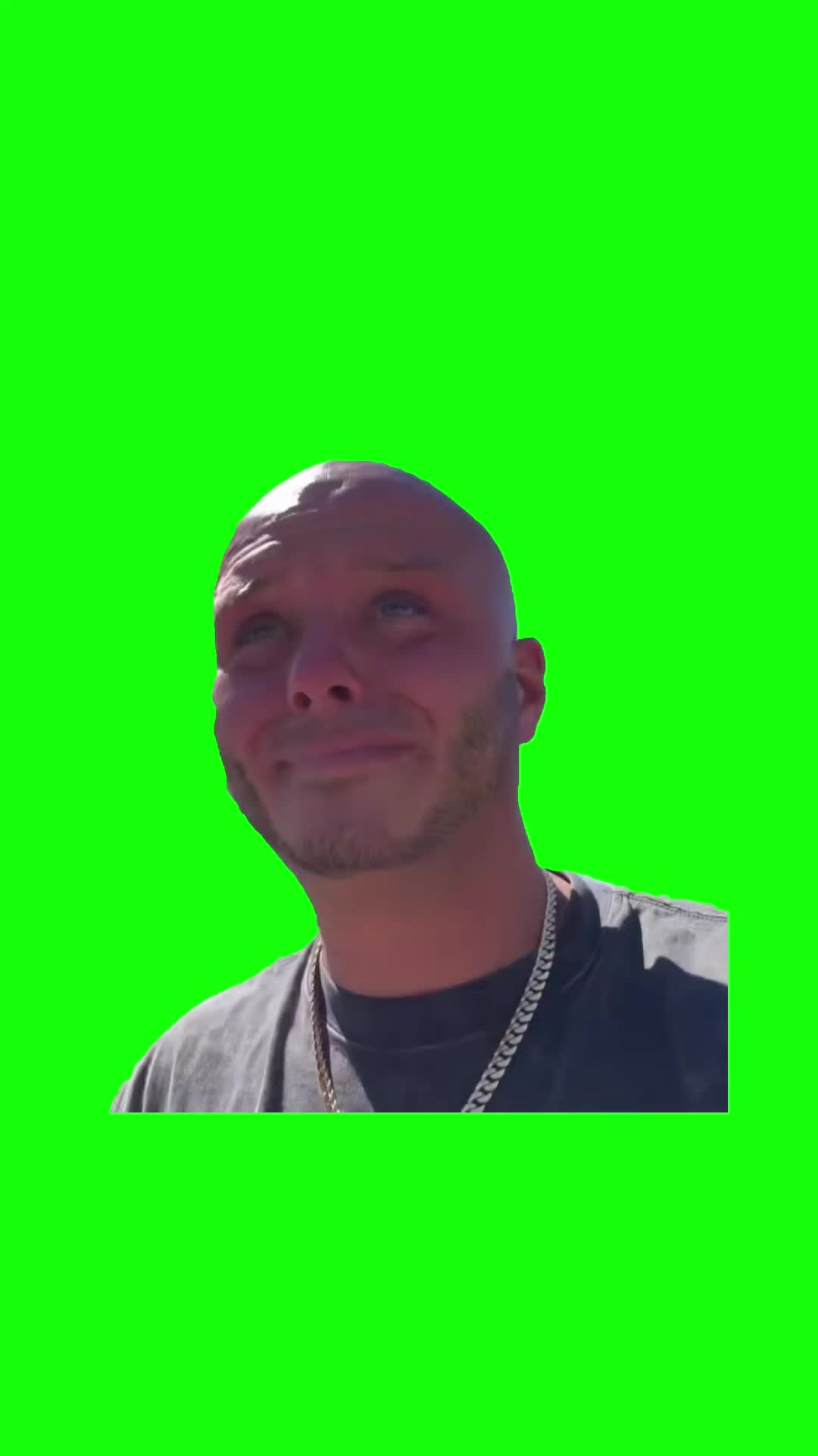 @Chief Green Screens