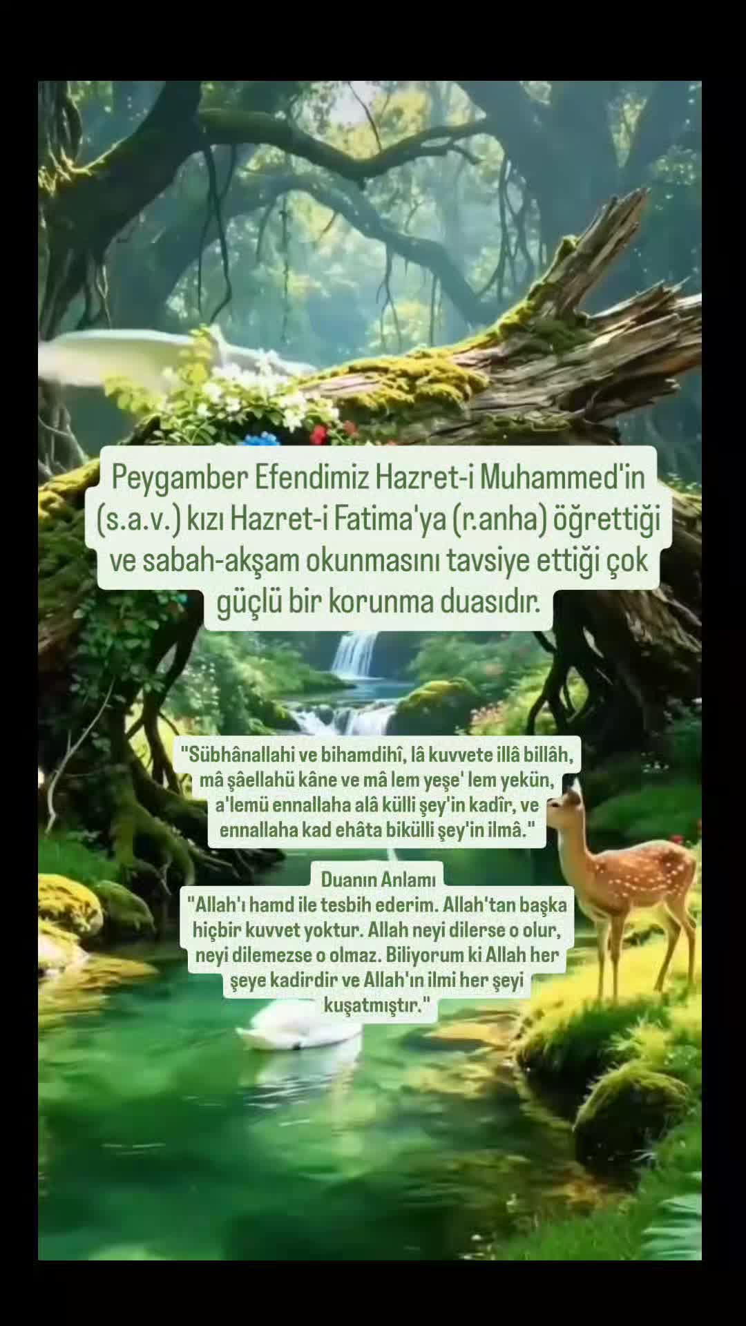 @hayat nereye gidiyor