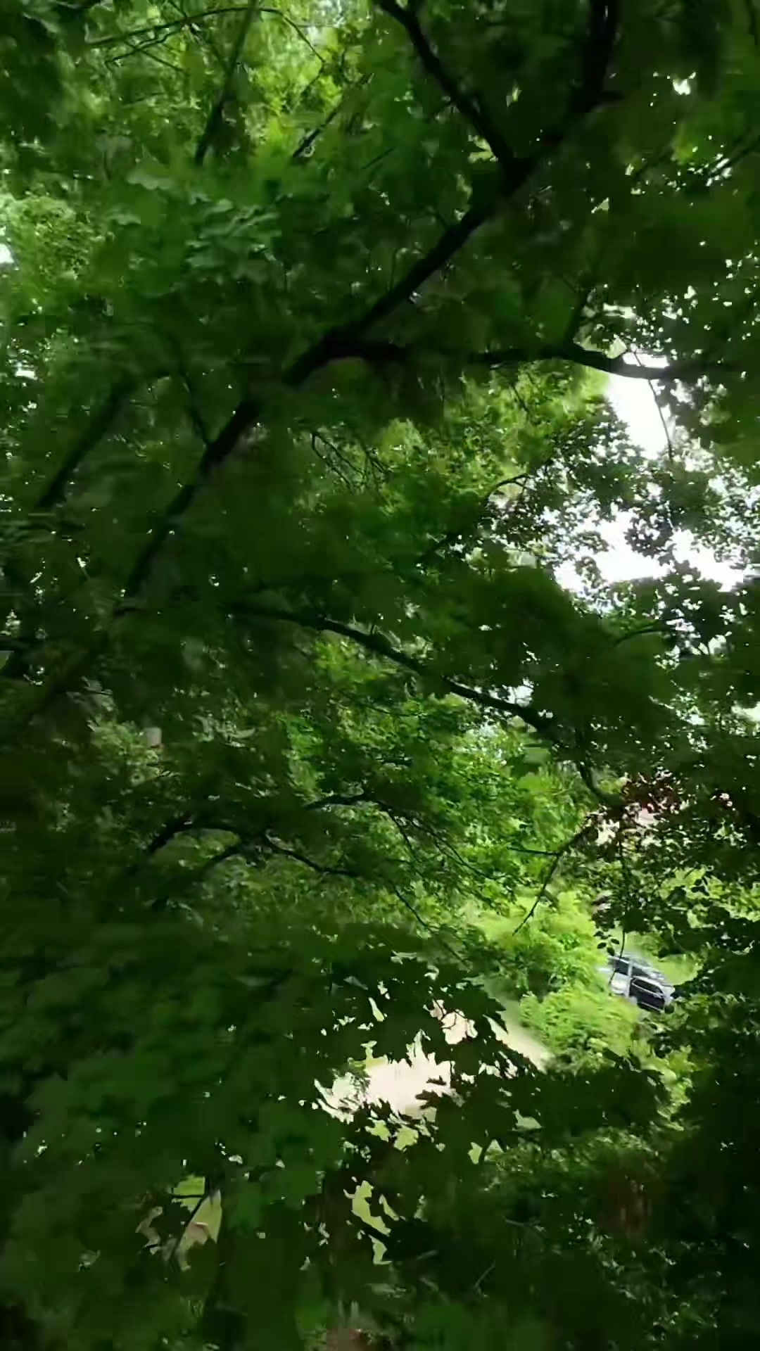 @joshjamfpv