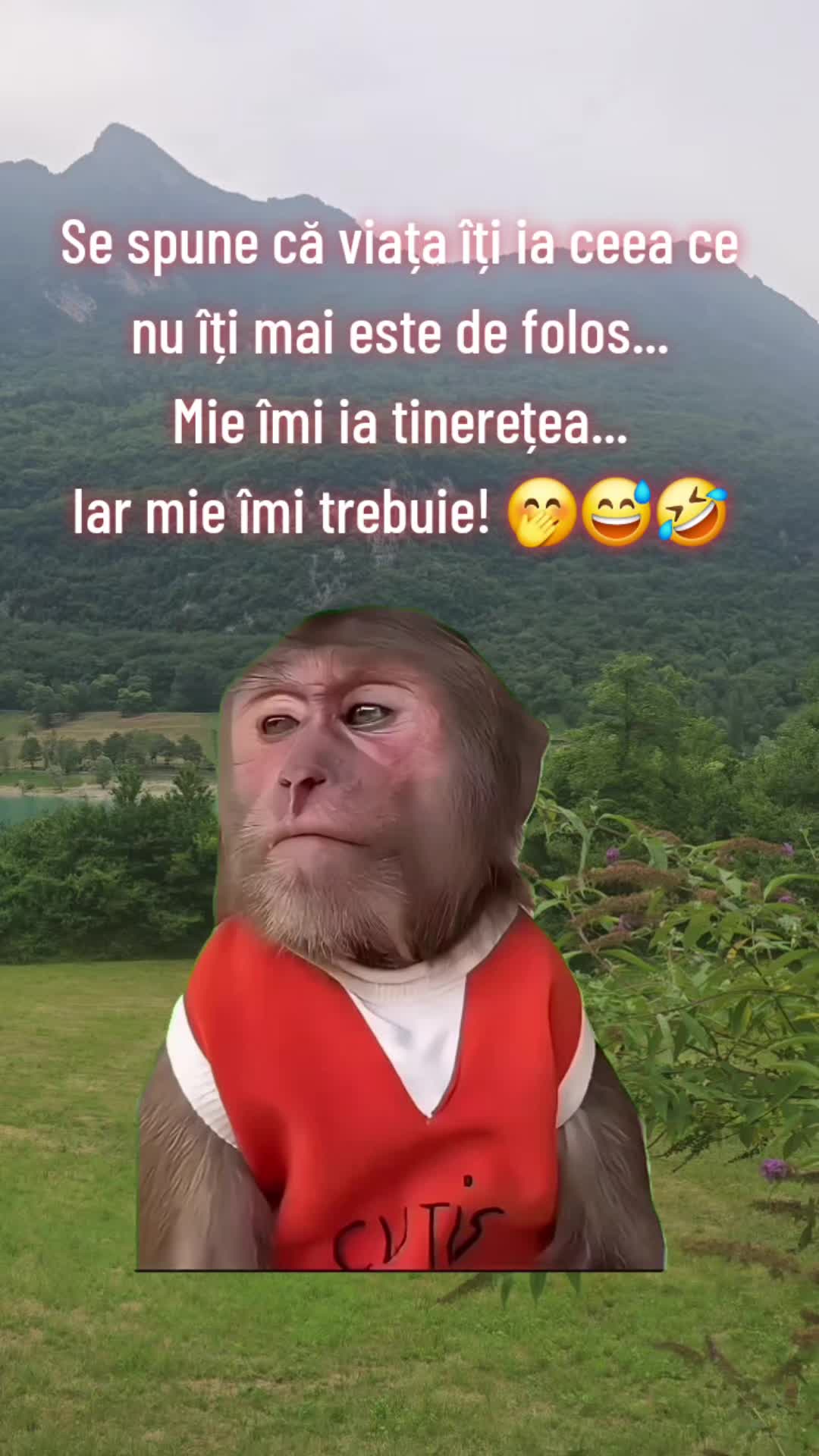 @ank_andreescu867
