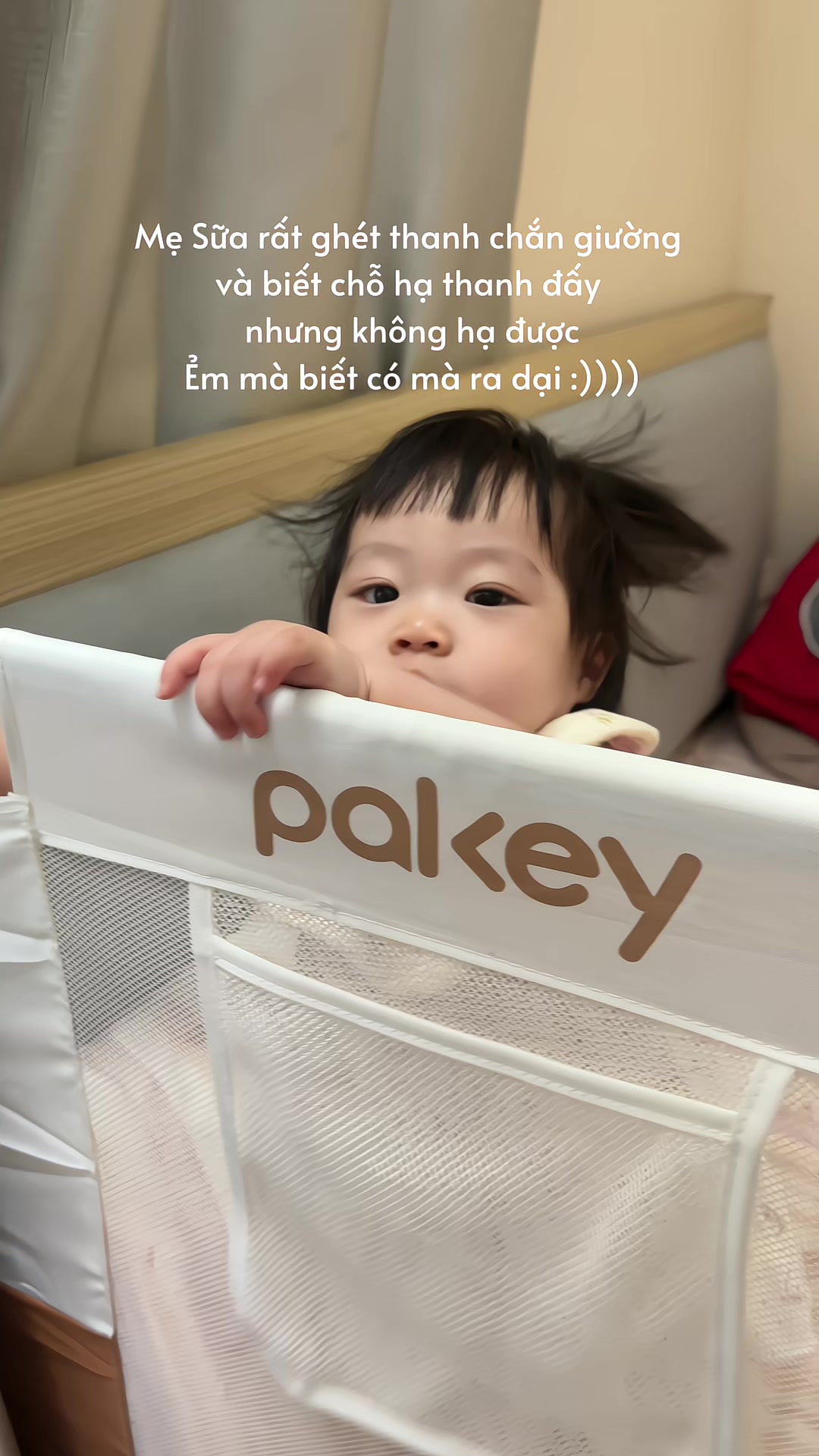 @Thảo Em ( Mẹ bé Sữa ) 🍼