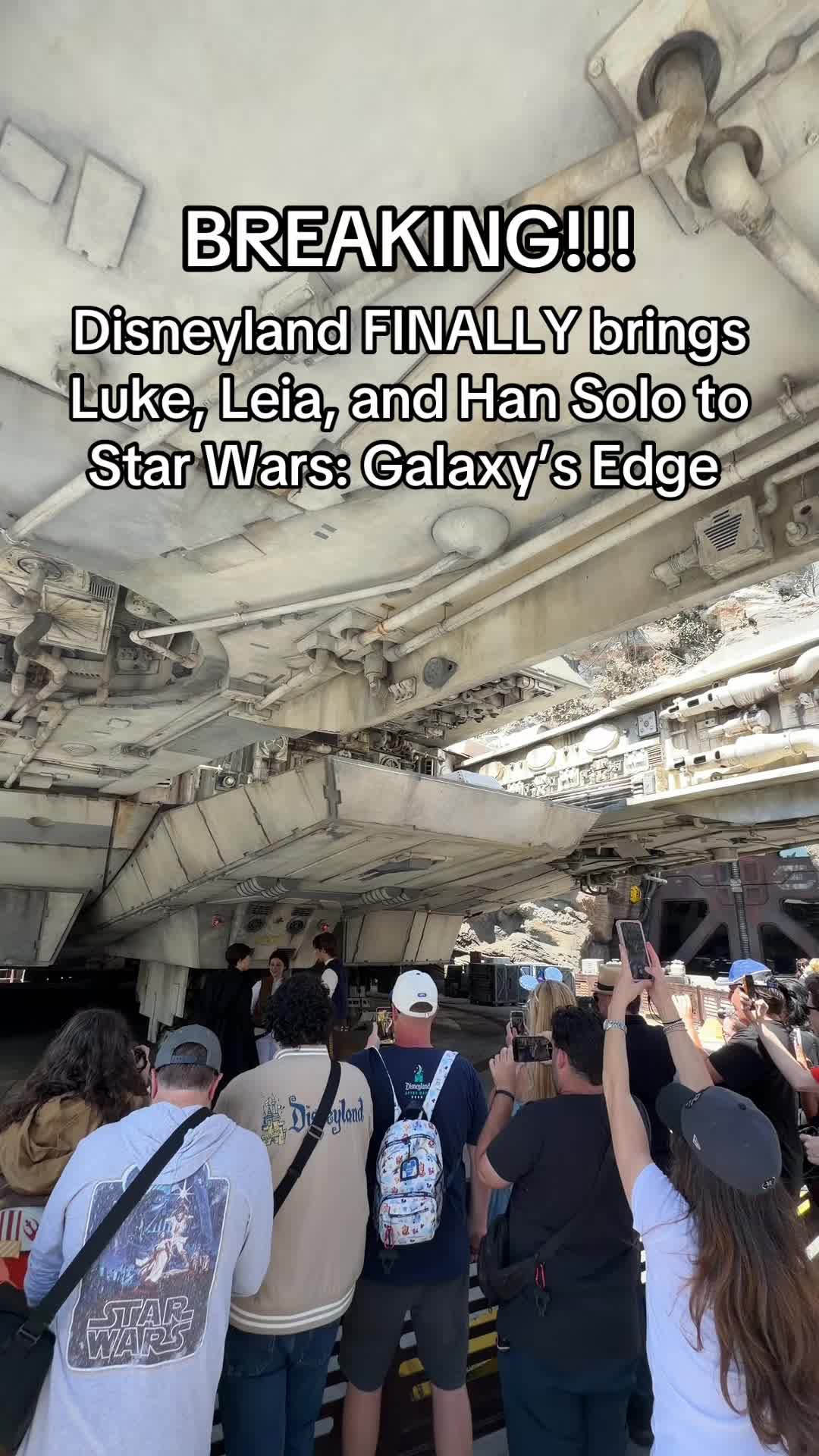 @Mickey Visit: Disney Guide!