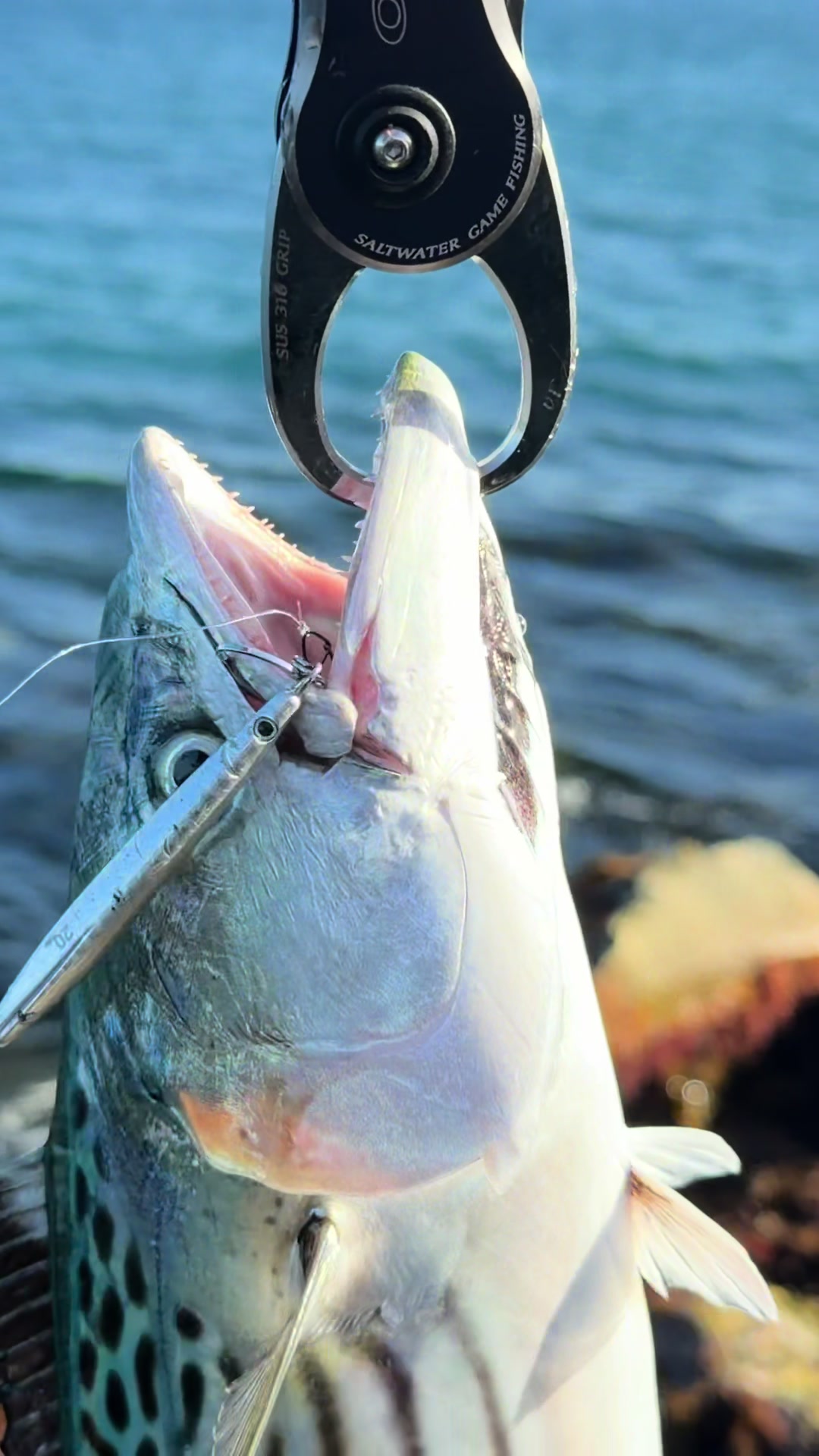 @KookFishing