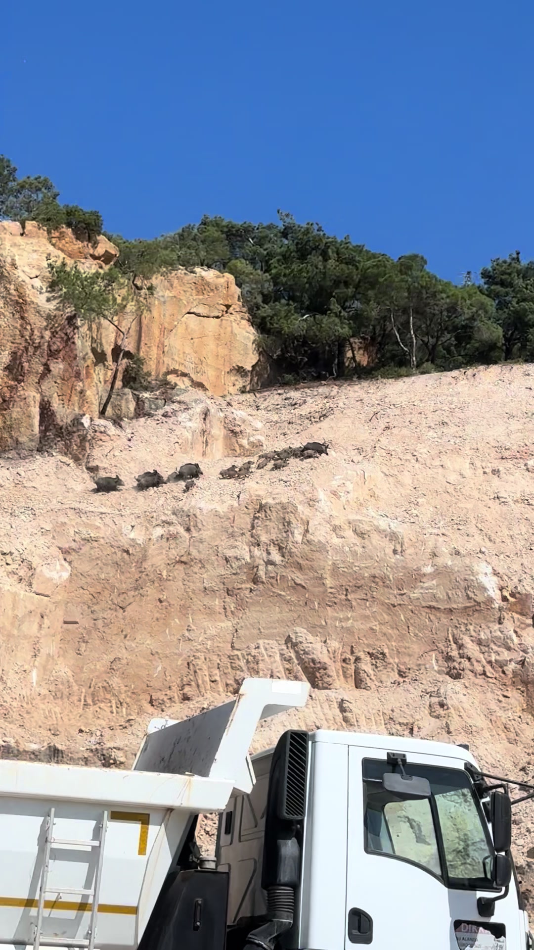 @Fuat Akça