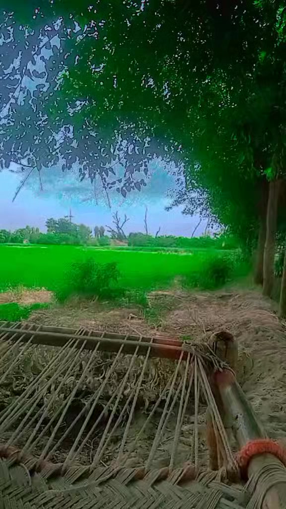 @king khan 786