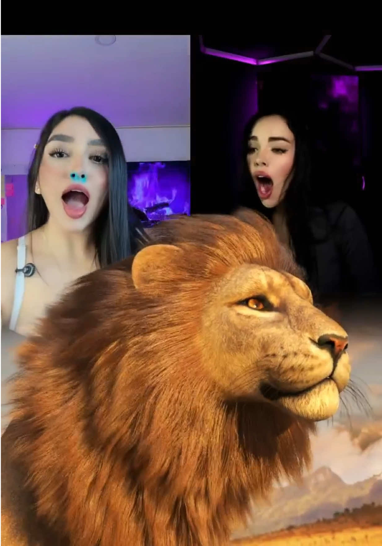 @Tati🐺⚡️