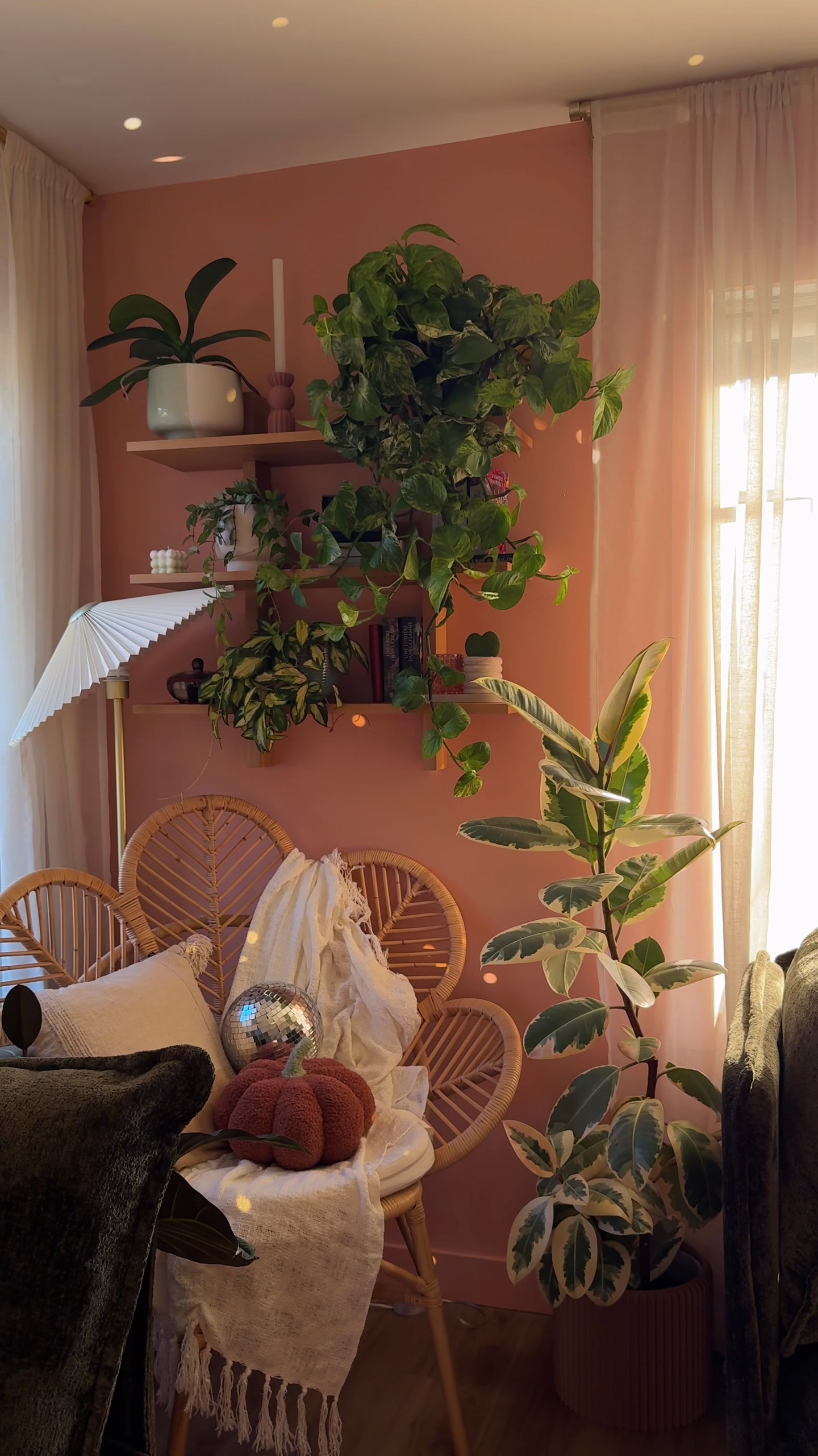 @Laura | Plants & Home decor