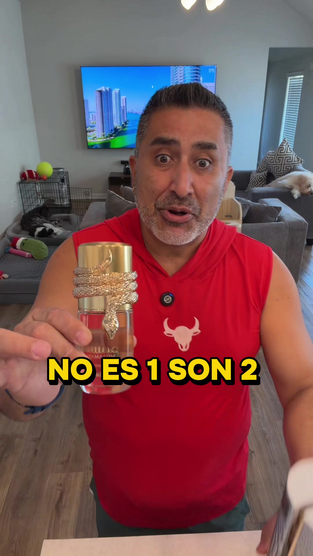 @Loquitostore