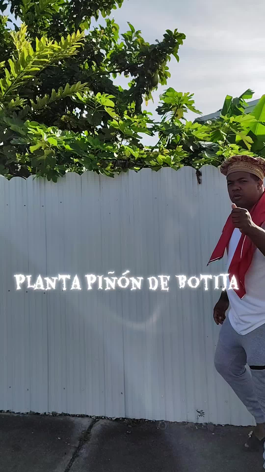 @SaguaLaGrandeTierradeCongo