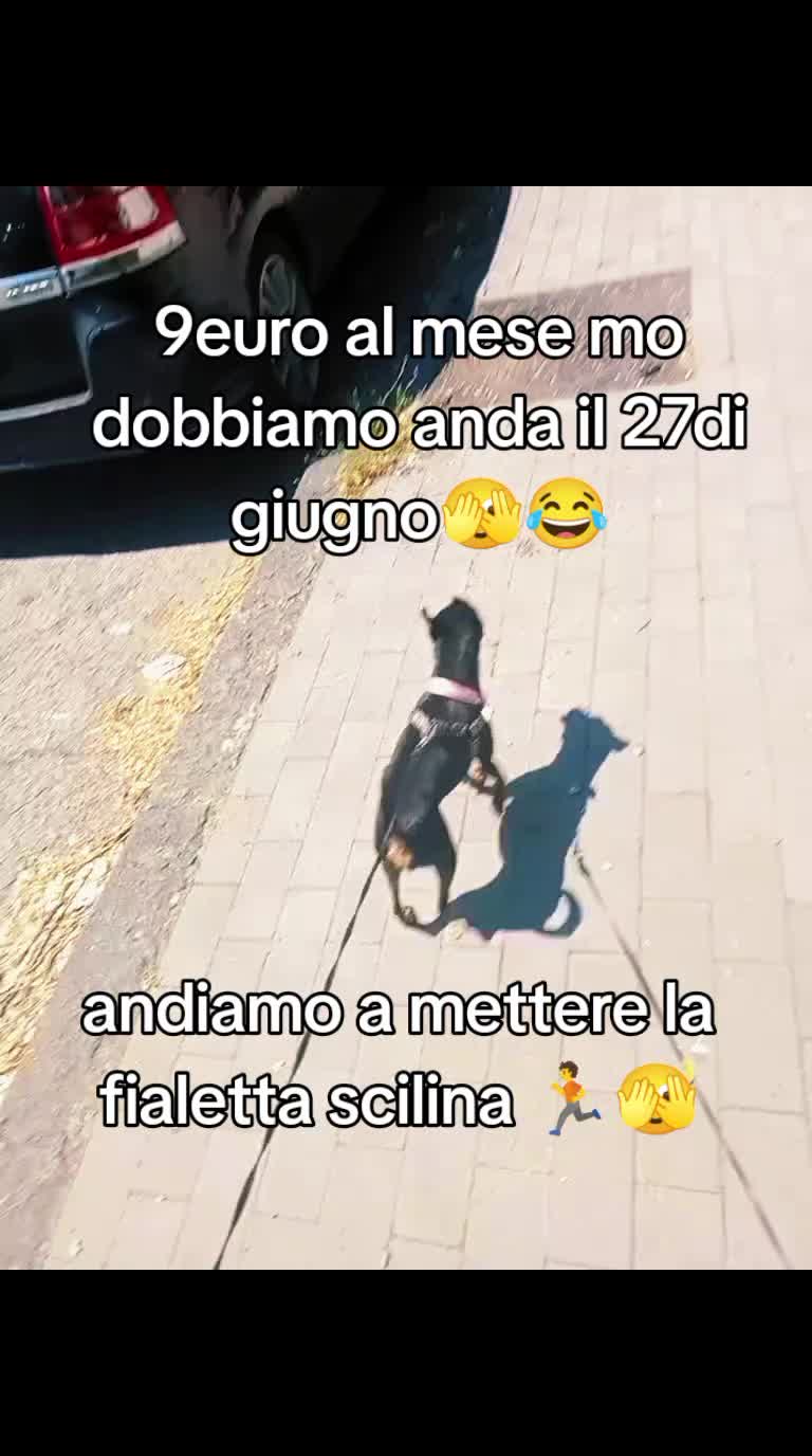 @misteriosa