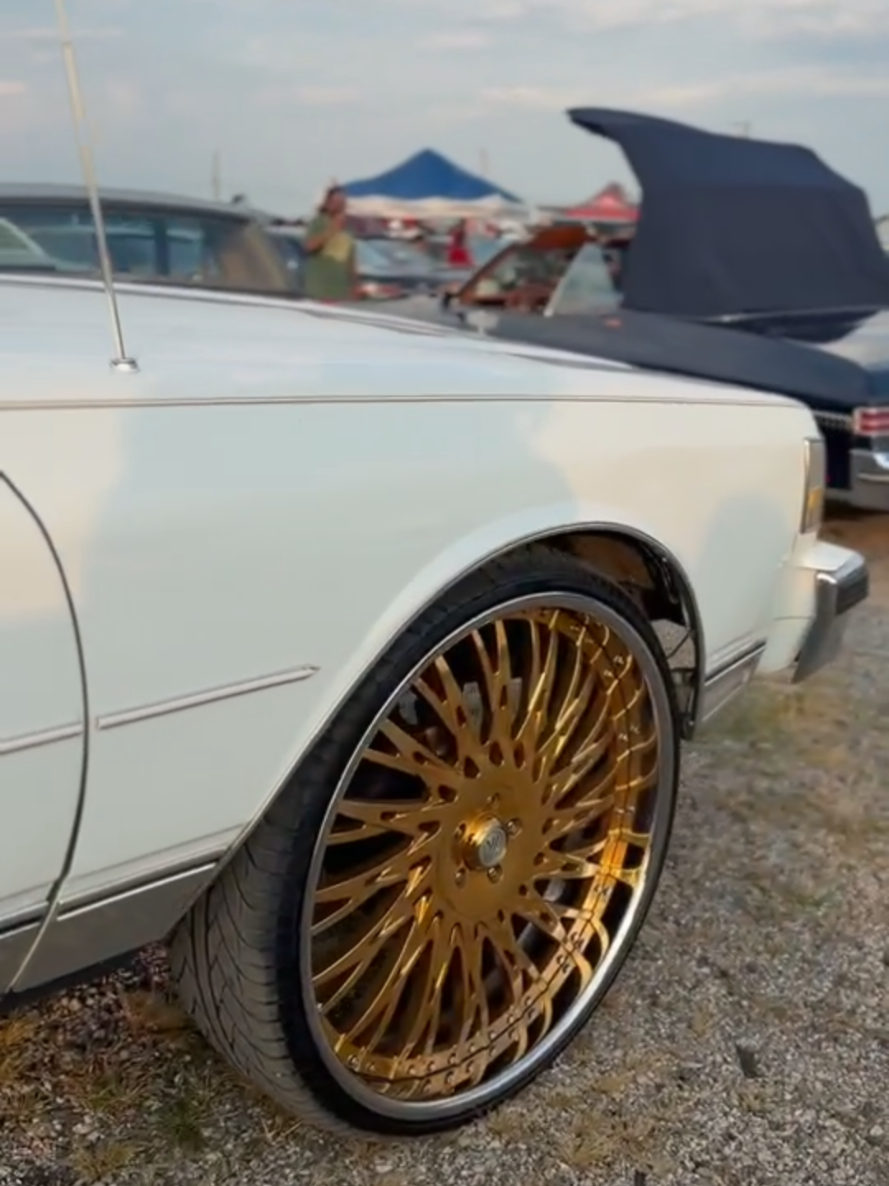 @Dirt Seven