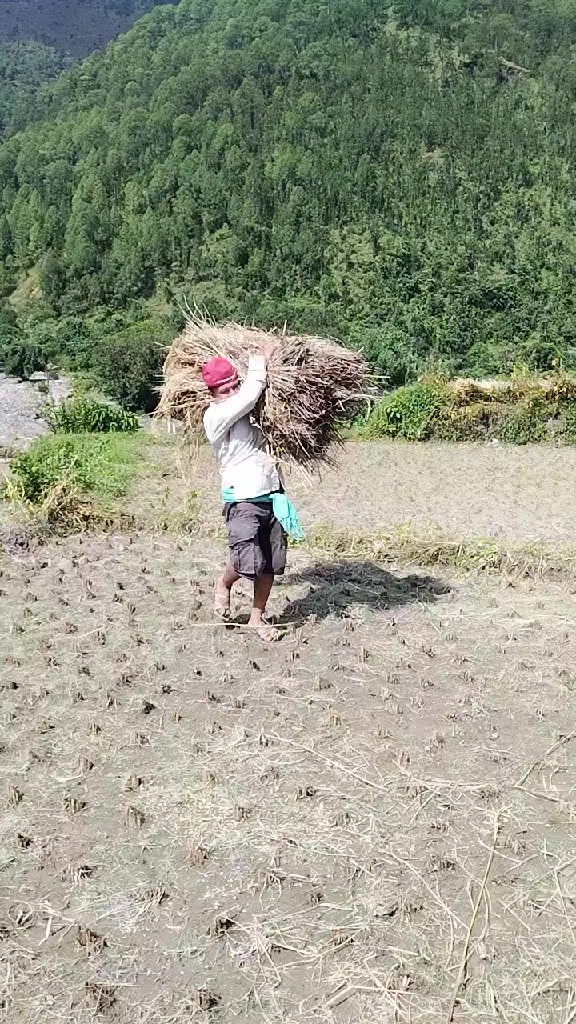@Sanju Dhakal