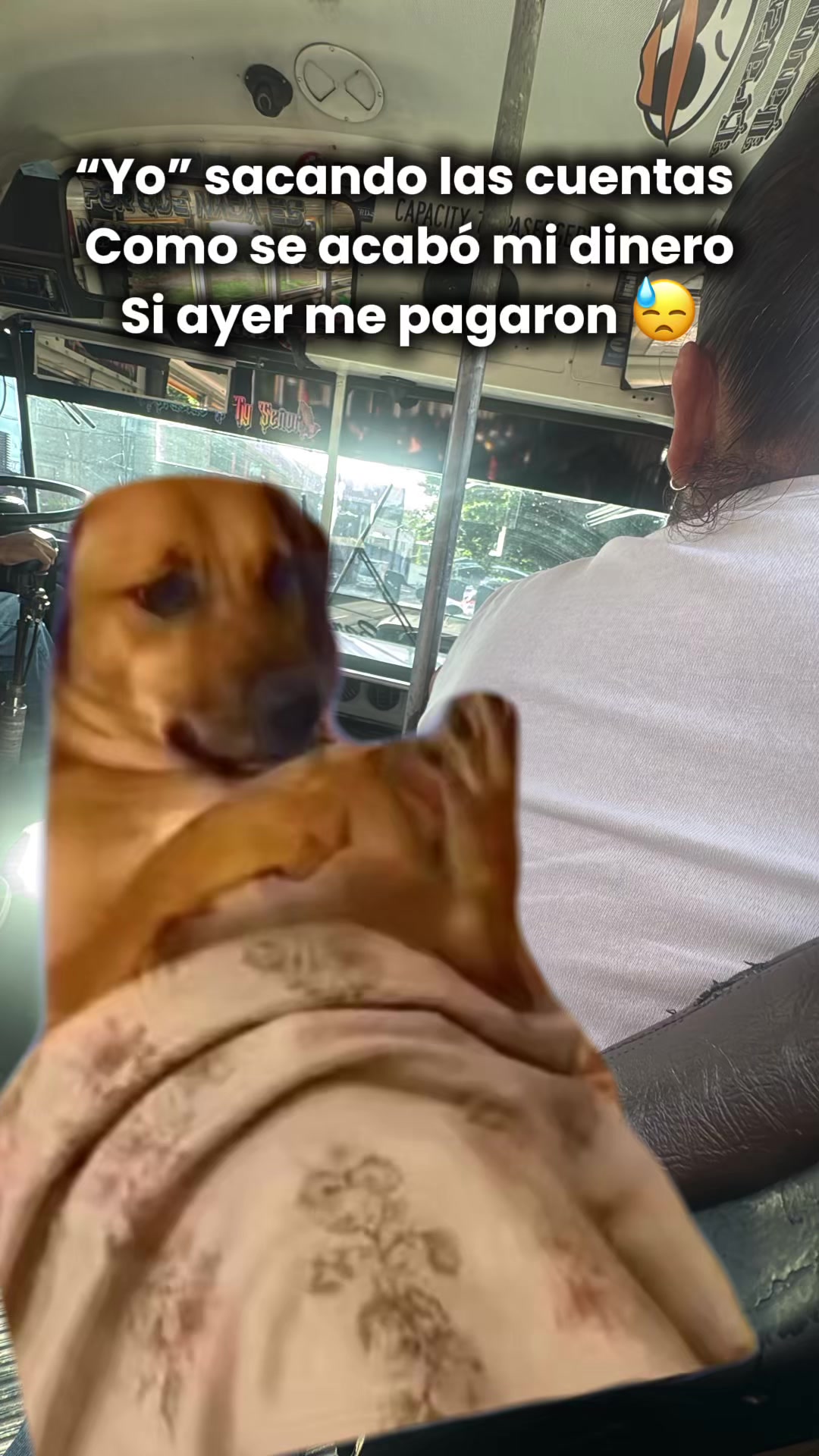 @0 seriedad