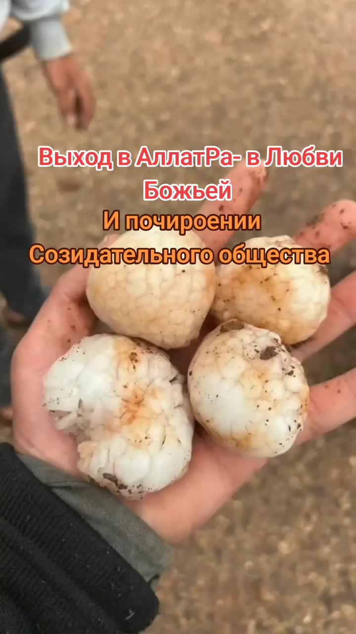 @Климатический цикл 12000 лет!