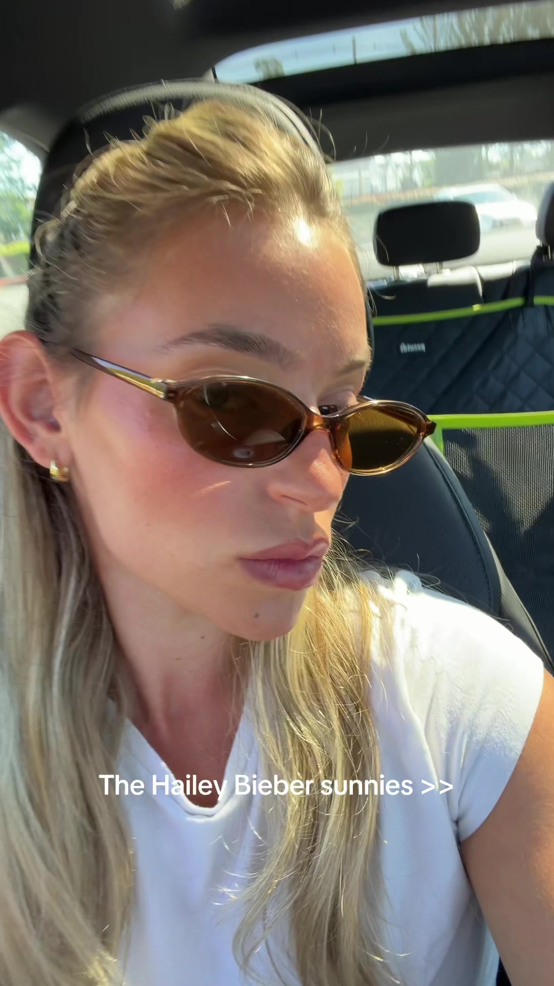 @aligoldstein