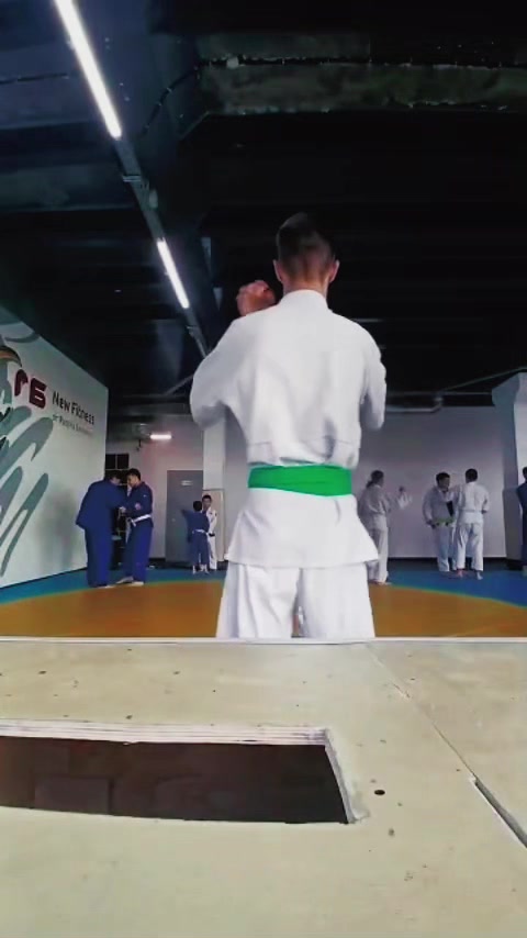 @mir_judo0