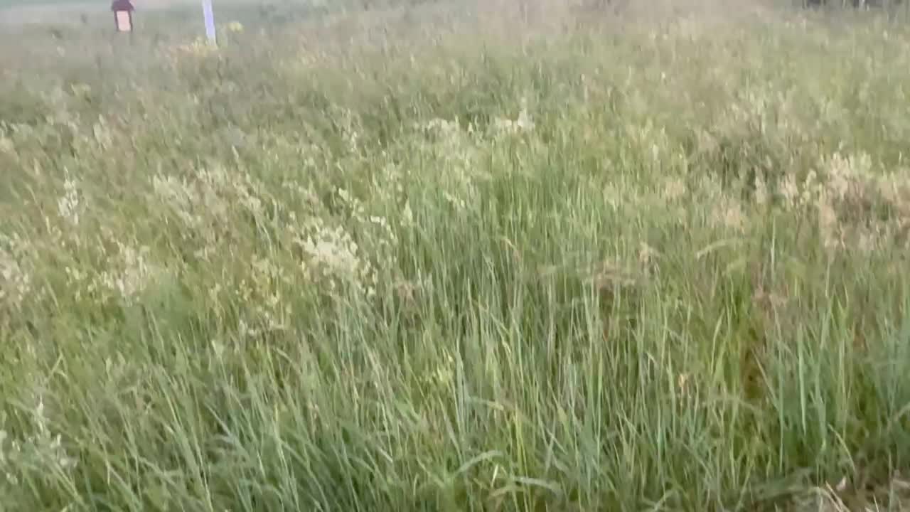 @ther0sh